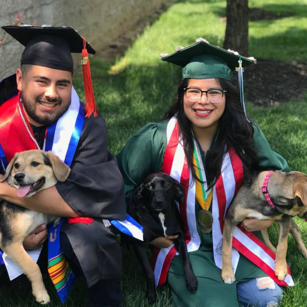 Meet your Posher, Yeliani